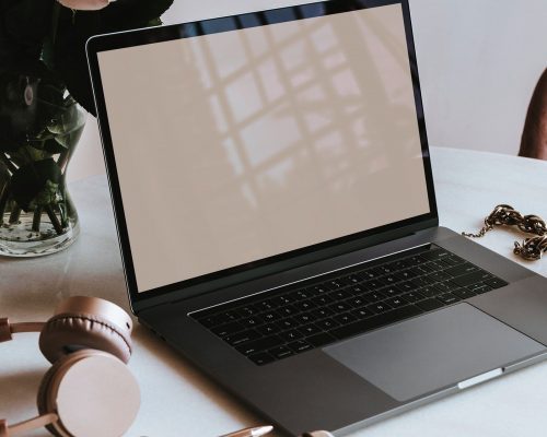 Laptop Accessories (1)
